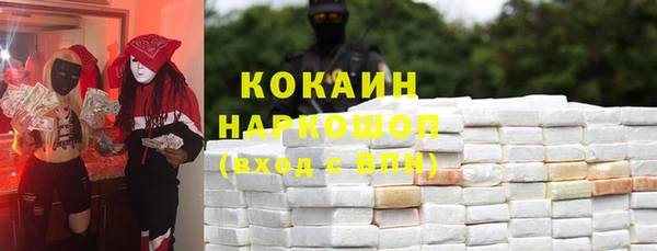 spice Богородск