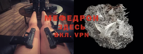 spice Богородск
