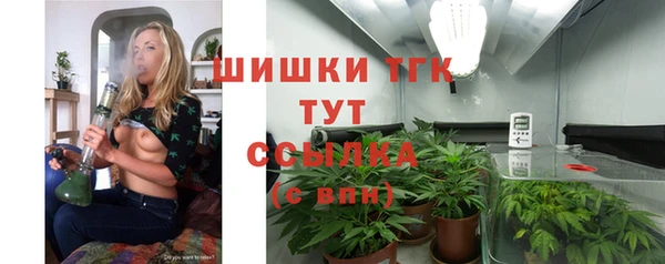 МДПВ Слюдянка