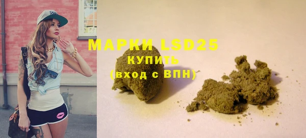 spice Богородск