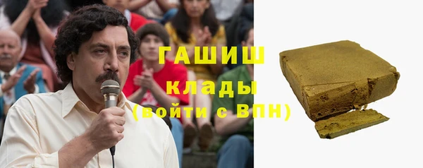 гидра Снежногорск