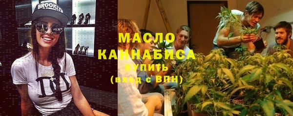 spice Богородск