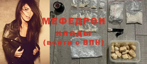 spice Богородск